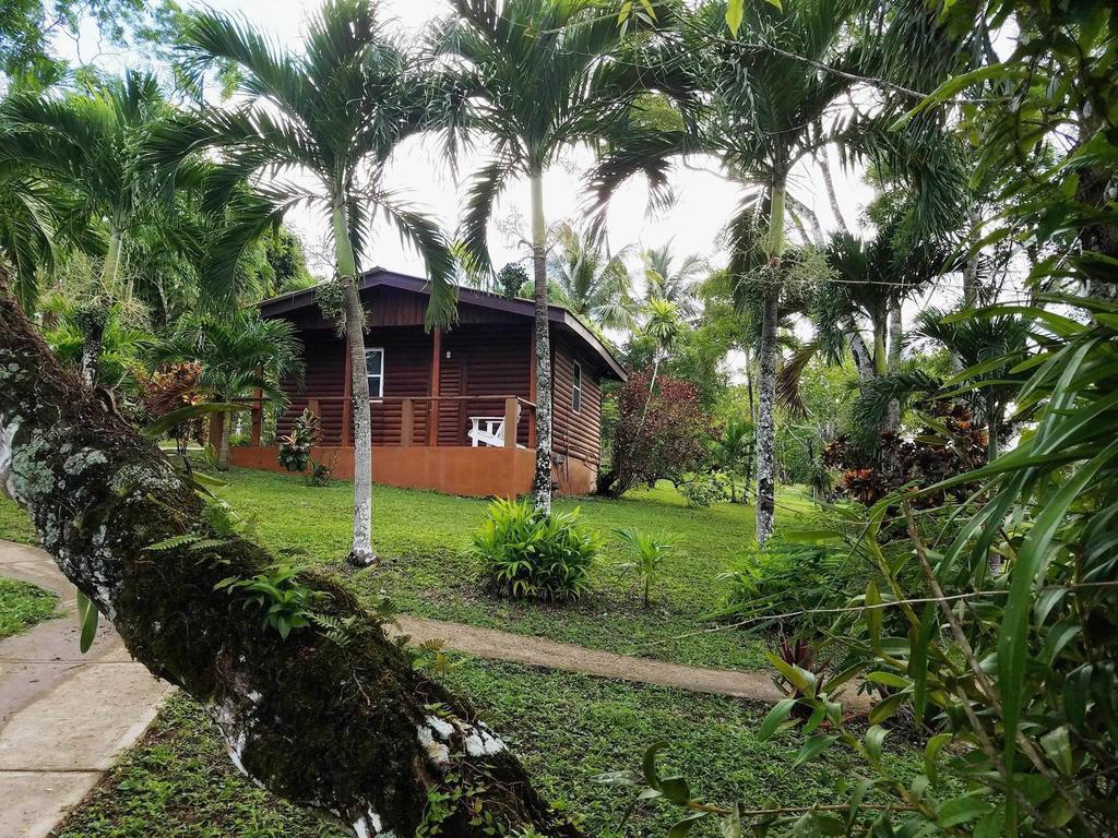The Log Cab-Inn San Ignacio Exterior foto